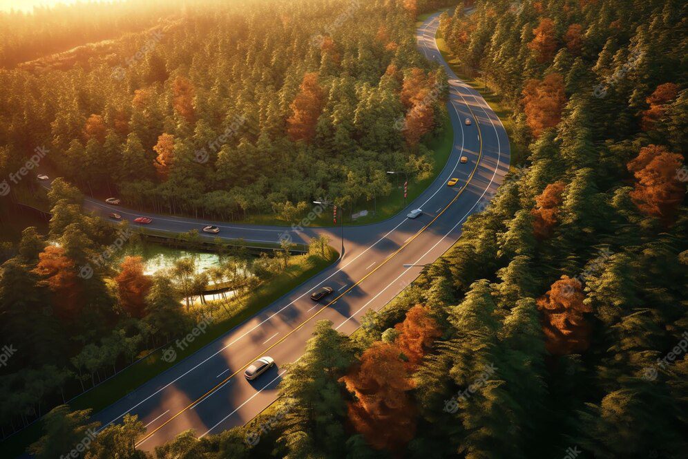 highway with forest background 889227 17856