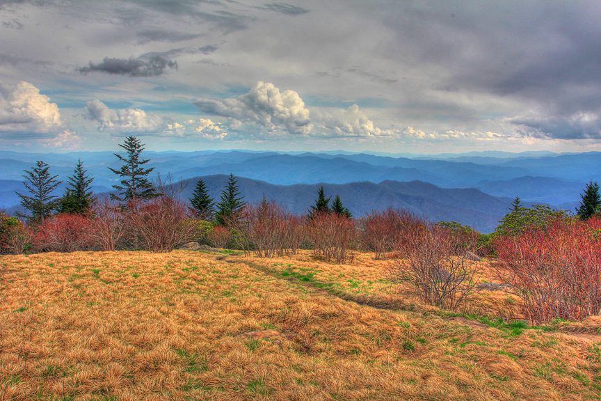 Andrews Bald Hiking Trail